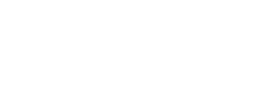 Bruvi-Licitações